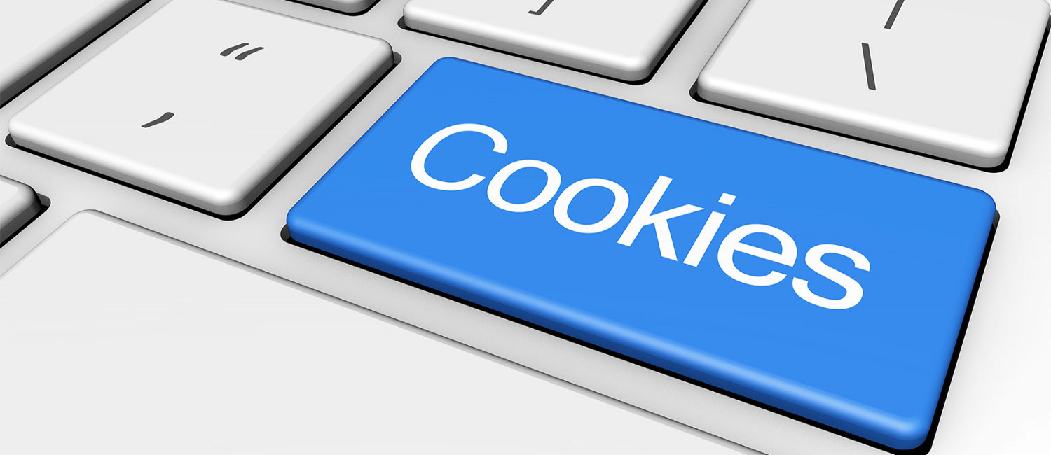 Website Cookie Policy For Budget Inn